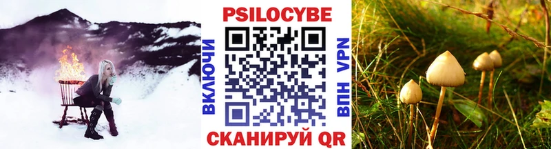 Псилоцибиновые грибы Psilocybe  KRAKEN ТОР  Долинск 